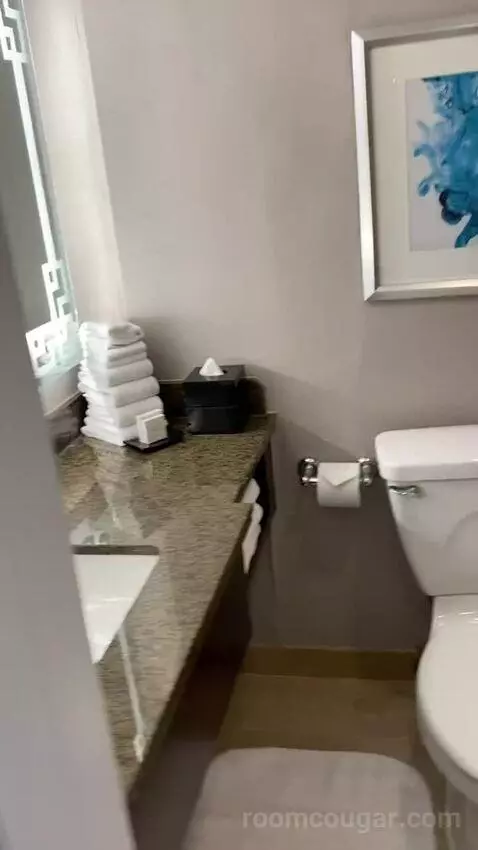 Double Room with 2 Double Beds and Monument View bathroom picture #4