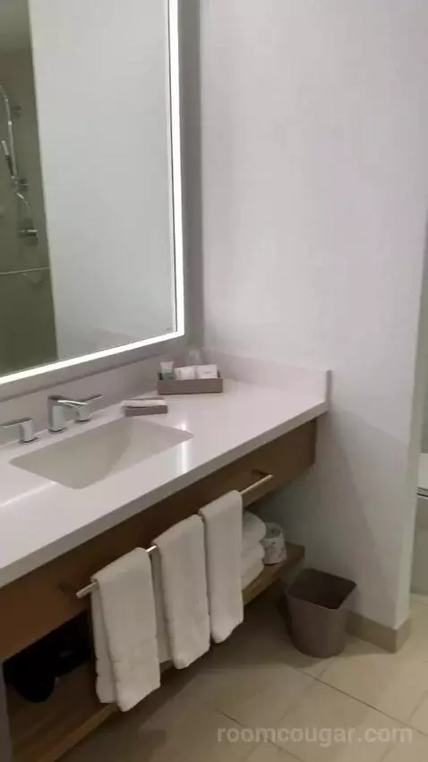 2 Queen Beds, Junior Suite (#1128) bathroom picture #4