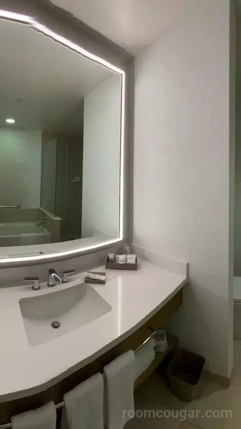 2 Queen Beds, Junior Suite (#1128) bathroom picture #6