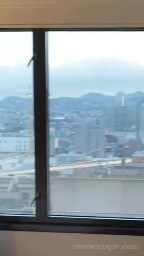 Larger Guest Room, 2 Queen, City View, Corner Room view picture #4