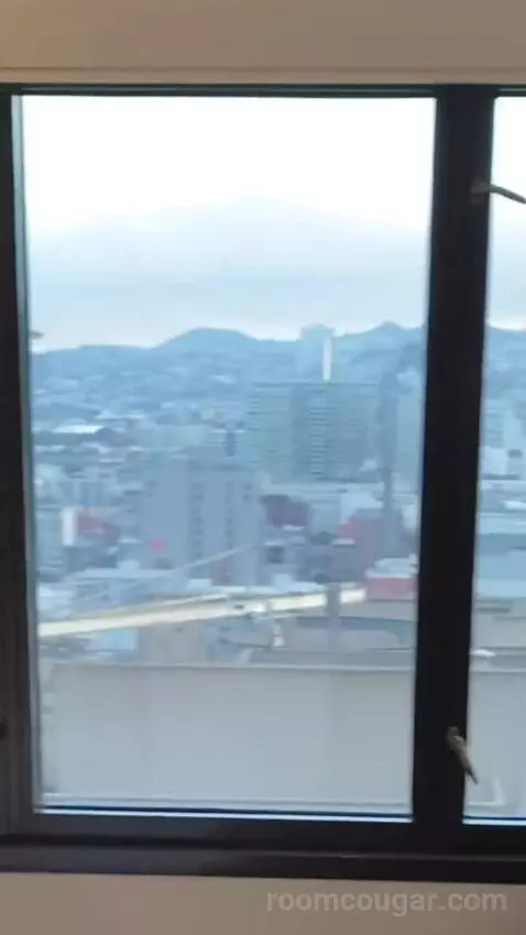 Larger Guest Room, 2 Queen, City View, Corner Room view picture #6