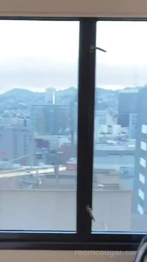 Larger Guest Room, 2 Queen, City View, Corner Room view picture #8