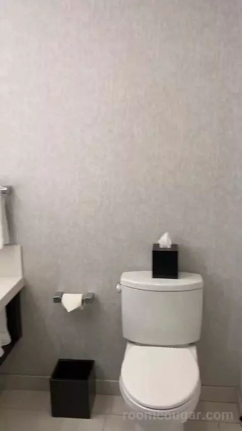 Larger Guest Room, 2 Queen, City View, Corner Room bathroom picture #9