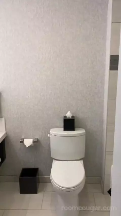 Larger Guest Room, 2 Queen, City View, Corner Room bathroom picture #5