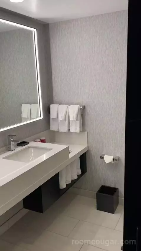Larger Guest Room, 2 Queen, City View, Corner Room bathroom picture #7