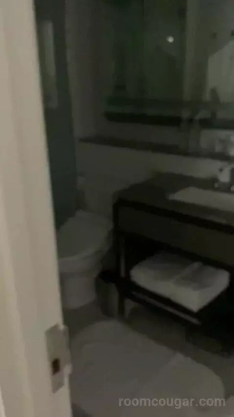 Superior Suite, 1 Bedroom 2 Room Suite, 1 King, Sofa Bed bathroom picture #2