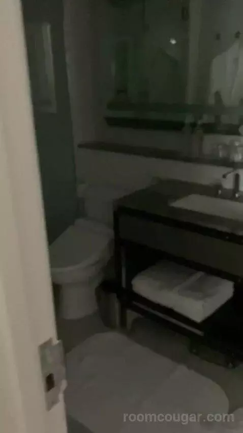 Superior Suite, 1 Bedroom 2 Room Suite, 1 King, Sofa Bed bathroom picture #3