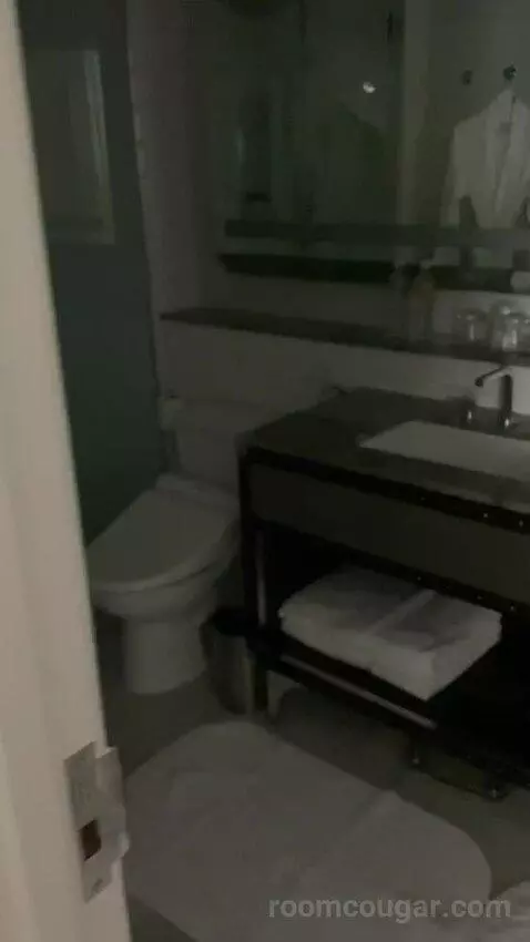 Superior Suite, 1 Bedroom 2 Room Suite, 1 King, Sofa Bed bathroom picture #4