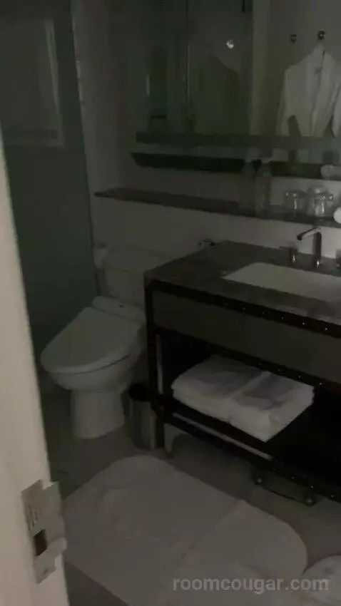 Superior Suite, 1 Bedroom 2 Room Suite, 1 King, Sofa Bed bathroom picture #5