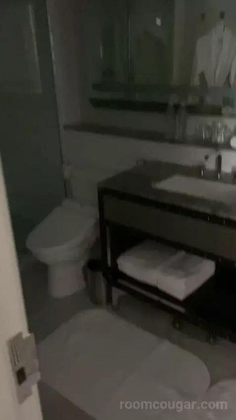 Superior Suite, 1 Bedroom 2 Room Suite, 1 King, Sofa Bed bathroom picture #6