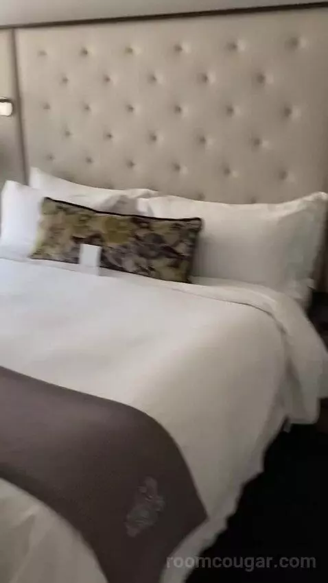 Superior Suite, 1 Bedroom 2 Room Suite, 1 King, Sofa Bed bed picture #5