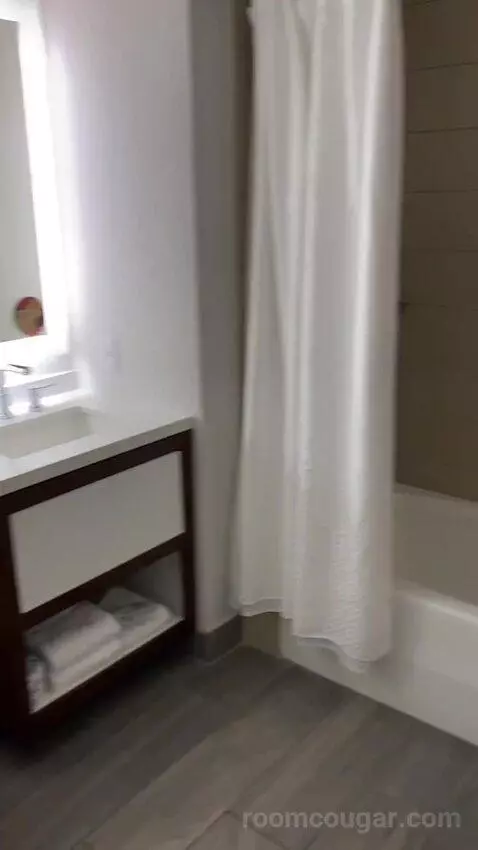 Deluxe Guest Room, 2 Double, High Floor bathroom picture #4