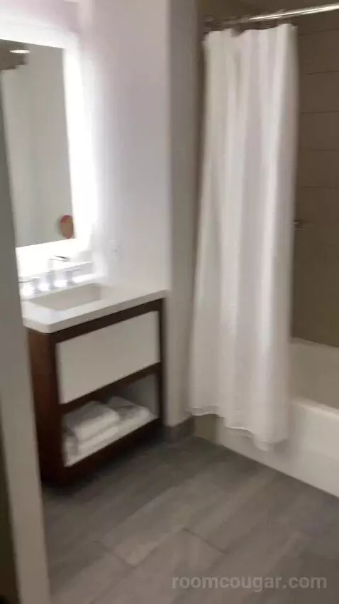 Deluxe Guest Room, 2 Double, High Floor bathroom picture #11