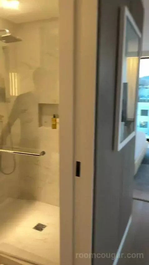 Suite | View Studio King bathroom picture #6