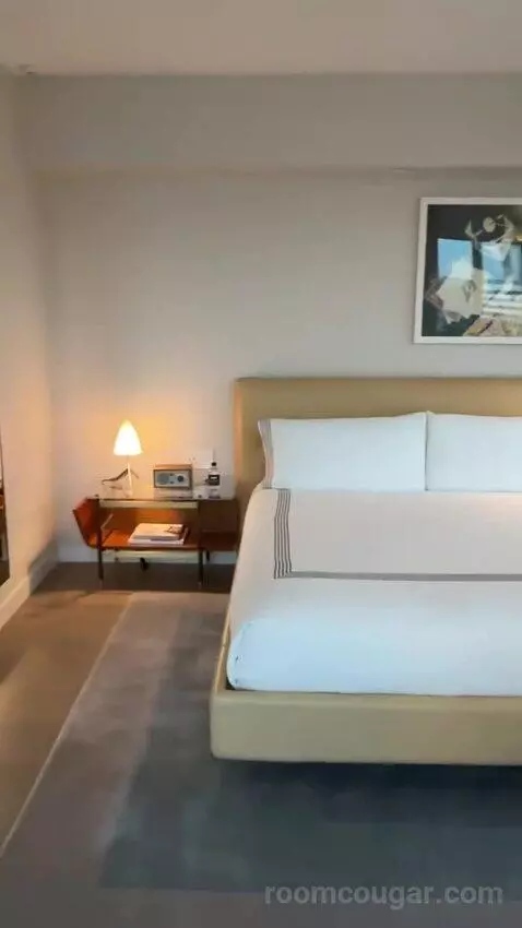 Suite | View Studio King bed picture #9