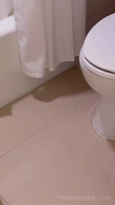 2 Queen Beds, Bay View, Balcony, Guest Room (#2030) bathroom picture #9