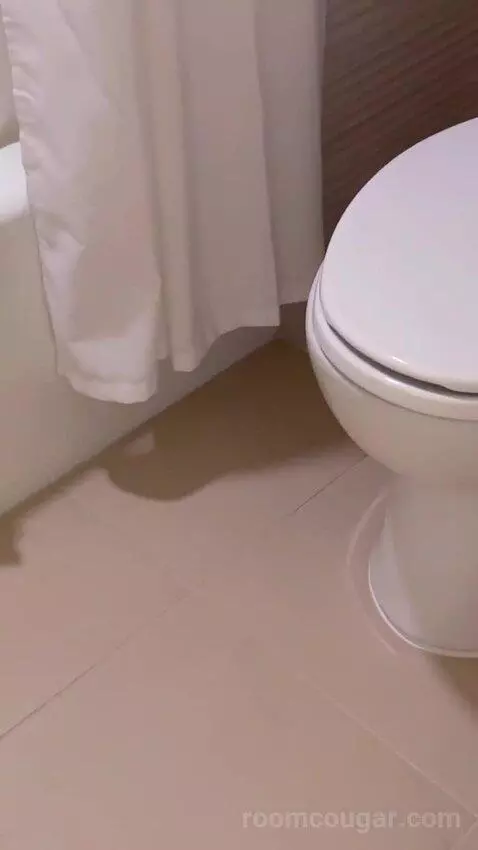 2 Queen Beds, Bay View, Balcony, Guest Room (#2030) bathroom picture #11