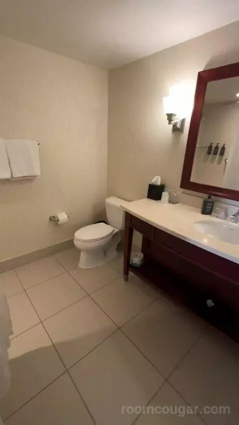 Traditional, Guest Room, 2 Queen, Balcony (#2233) bathroom picture #4