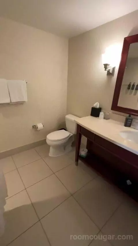 Traditional, Guest Room, 2 Queen, Balcony (#2233) bathroom picture #5