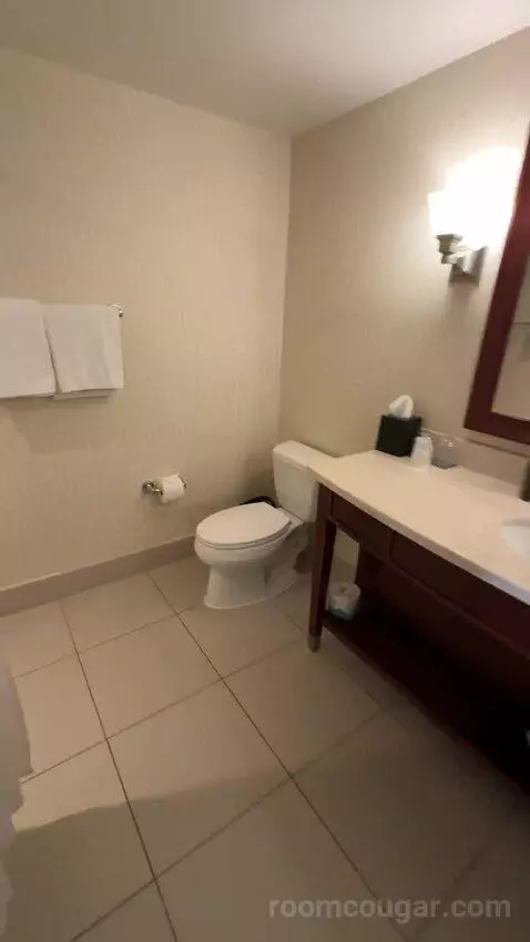 Traditional, Guest Room, 2 Queen, Balcony (#2233) bathroom picture #6