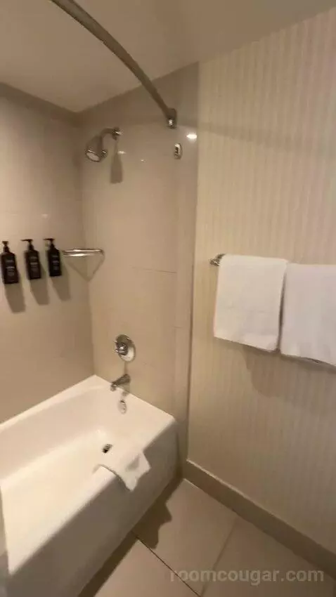Traditional, Guest Room, 2 Queen, Balcony (#2233) bathroom picture #7