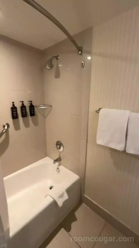 Traditional, Guest Room, 2 Queen, Balcony (#2233) bathroom picture #8