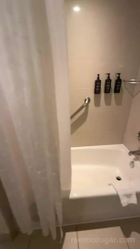 Traditional, Guest Room, 2 Queen, Balcony (#2233) bathroom picture #10