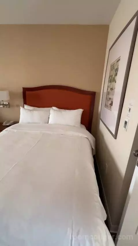 Traditional, Guest Room, 2 Queen, Balcony (#2233) bed picture #5