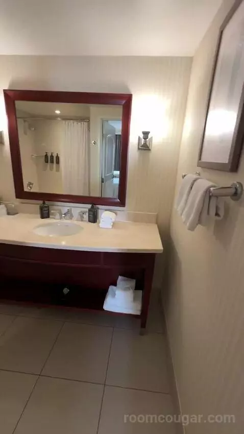 Traditional, Guest Room, 2 Queen, Balcony (#2233) bathroom picture #1