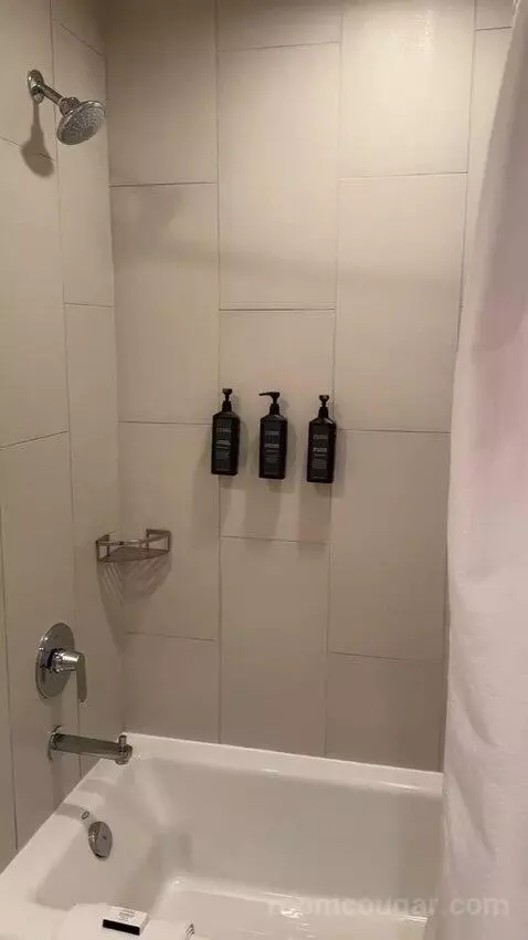 Deluxe Ponto, Studio Suite, Bedroom 1: 1 King, Bedroom 2: 2 Twin (#4205) bathroom picture #8
