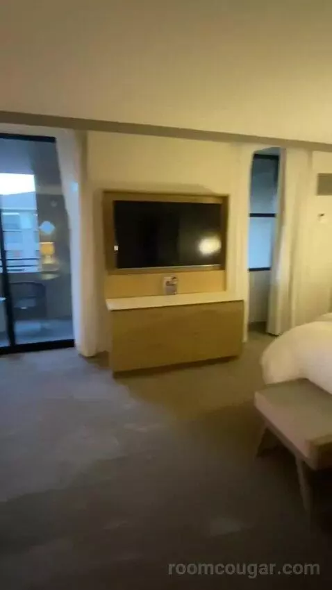 Junior Suite, Junior Suite, 1 King, Alternate Bed: Sofa Bed (#7066) bed picture #2