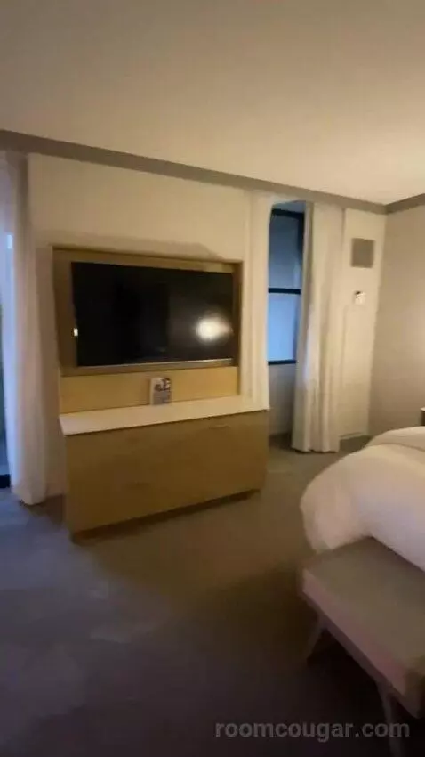 Junior Suite, Junior Suite, 1 King, Alternate Bed: Sofa Bed (#7066) bed picture #4