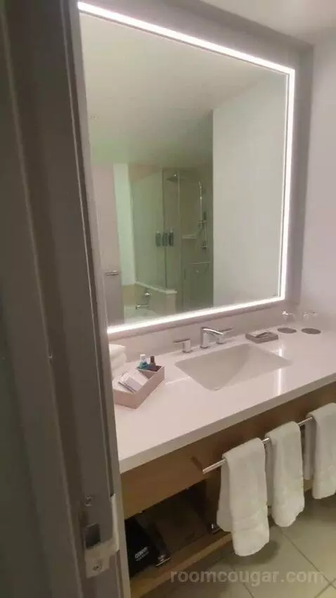 Junior Suite, Junior Suite, 1 King, Alternate Bed: Sofa Bed (#7066) bathroom picture #5