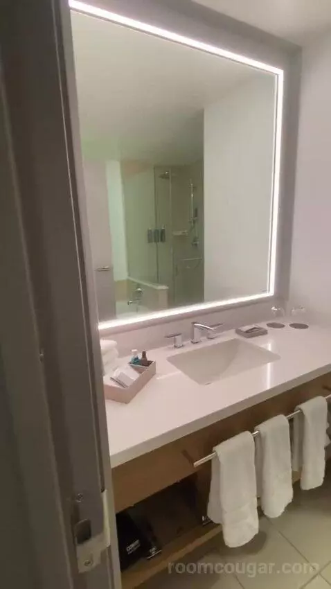 Junior Suite, Junior Suite, 1 King, Alternate Bed: Sofa Bed (#7066) bathroom picture #6