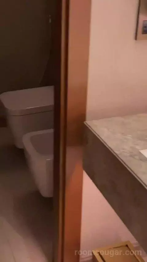 Deluxe Twin Room, Guest Room, 2 Double, Dubai Canal View bathroom picture #9