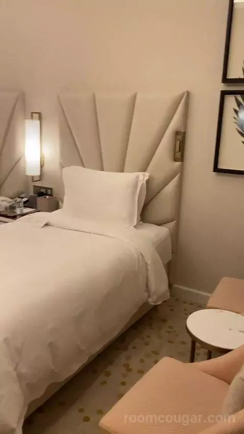 Deluxe Twin Room with City View (Luxurious fo) bed picture #9