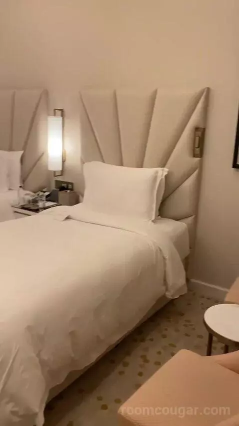 Deluxe Twin Room with City View (Luxurious fo) bed picture #11
