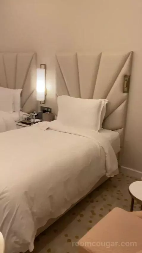 Deluxe Twin Room with City View (Luxurious fo) bed picture #12
