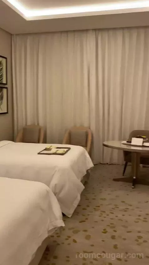 Deluxe Twin Room with City View (Luxurious fo) bed picture #1