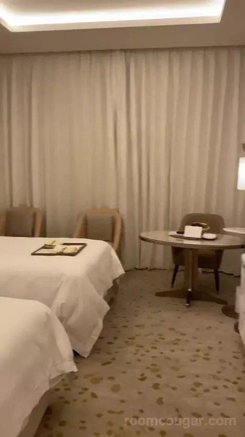 Deluxe Twin Room with City View (Luxurious fo) bed picture #2