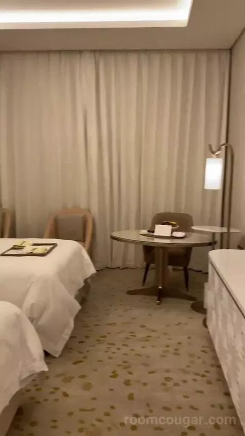 Deluxe Twin Room with City View (Luxurious fo) bed picture #3