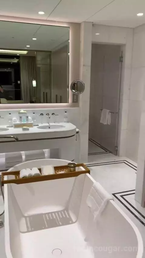 Astor Suite with 1 King, Sea View (#1617) bathroom picture #4