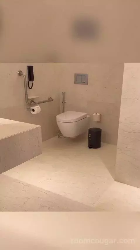 King Room bathroom picture #6