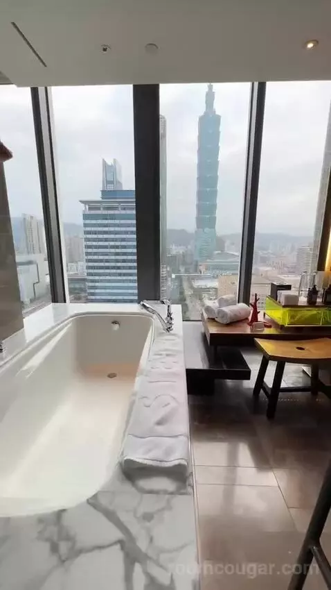 Fantastic Suite, 1 Bedroom Suite, 1 King, Taipei 101 View view picture #3
