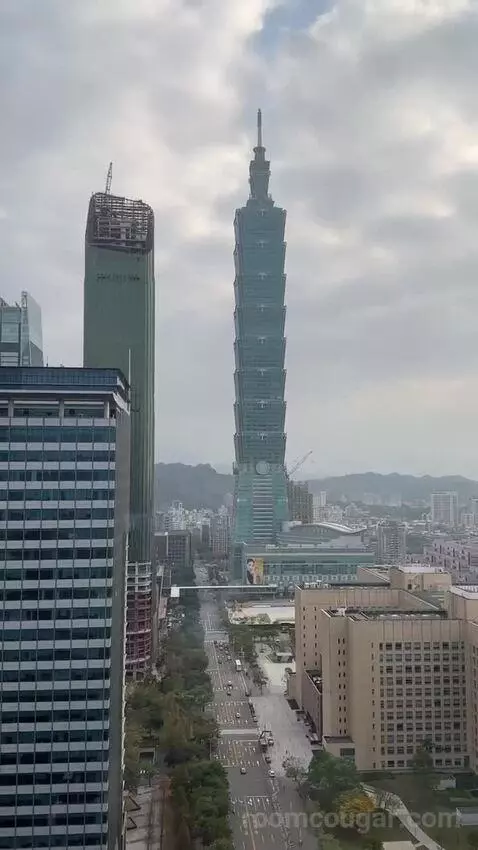 Fantastic Suite, 1 Bedroom Suite, 1 King, Taipei 101 View view picture #10