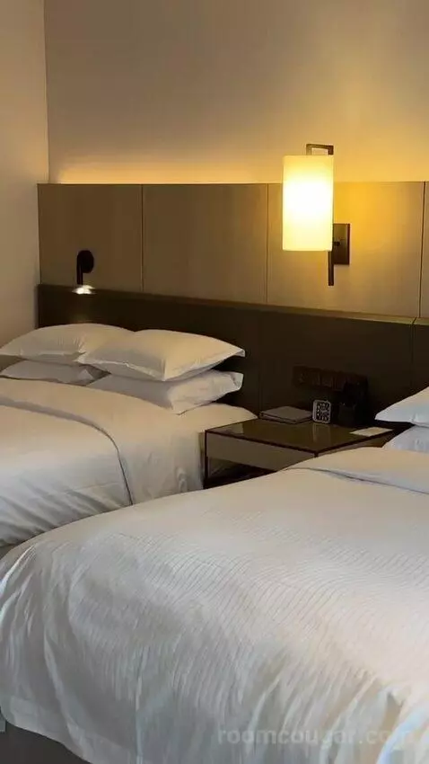 Larger Guest Room, 2 Double bed picture #6