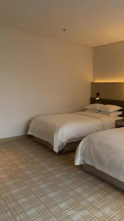 Larger Guest Room, 2 Double bed picture #7