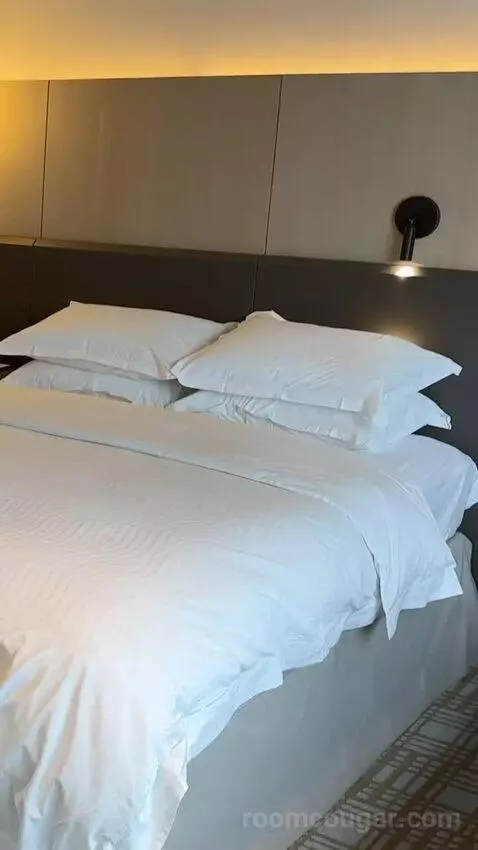 Larger Guest Room, 2 Double bed picture #5