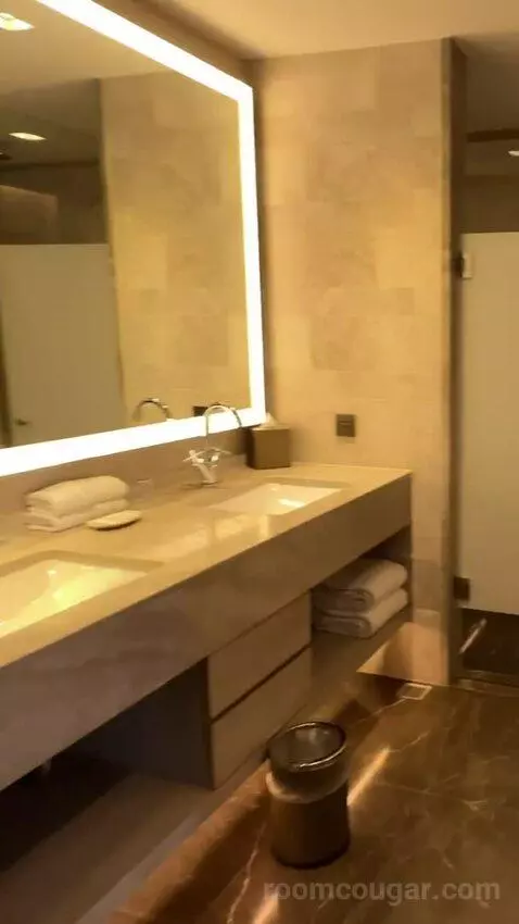 Executive Lounge Access, Suite, 1 King, Corner Room bathroom picture #1