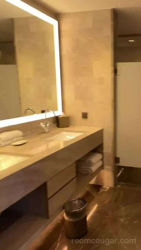 Executive Lounge Access, Suite, 1 King, Corner Room bathroom picture #2